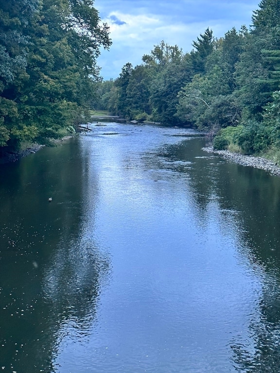 view of water feature