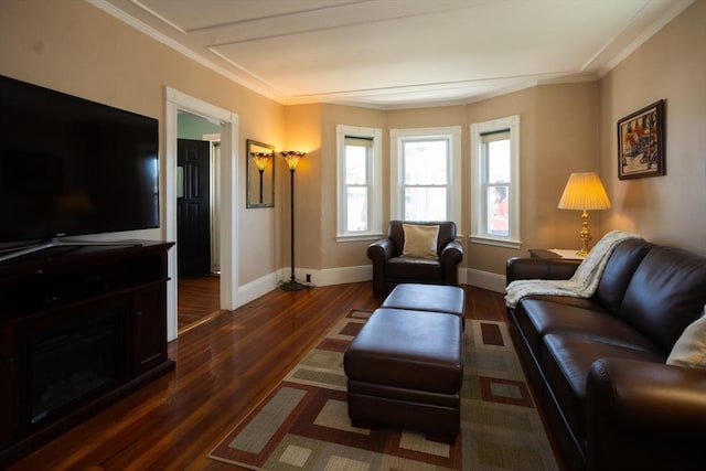 5 Clement Ave, Peabody, MA 01960 - living area featuring ornamental molding, dark wood-style flooring, and baseboards