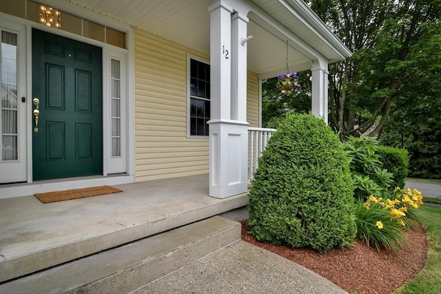 12 Braeburn Ln Unit 12, Ashland, MA 01721 - property entrance with a porch