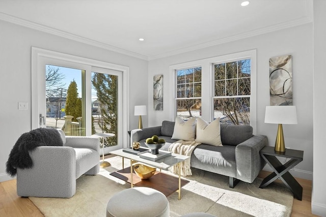 living room featuring crown molding and light hardwood / wood-style floors