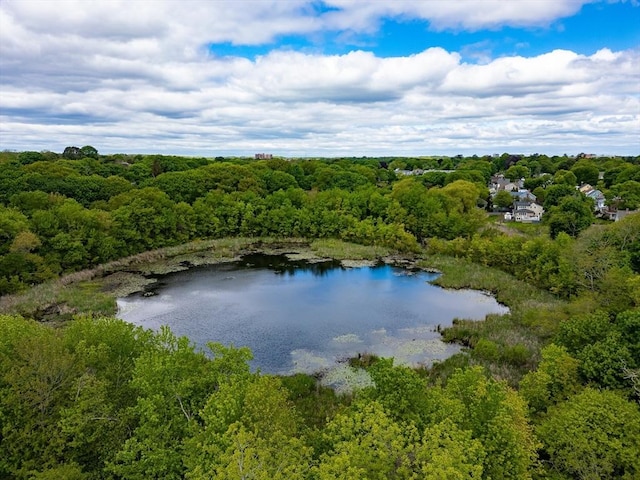 8 Warren Rd, Marblehead, MA 01945 - drone / aerial view of a heavily wooded area and a nearby body of water