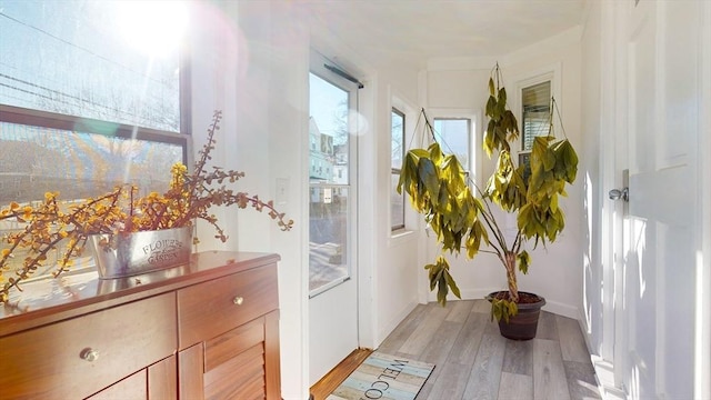 entryway featuring light wood-type flooring and a wealth of natural light