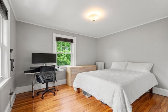 30 Gilbert Rd Unit 30, Belmont, MA 02478 - bedroom with radiator heating unit, light wood-type flooring, baseboards, and ornamental molding