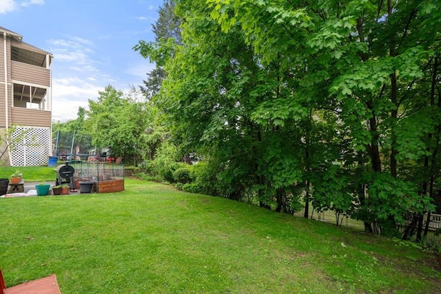 30 Gilbert Rd Unit 30, Belmont, MA 02478 - view of yard