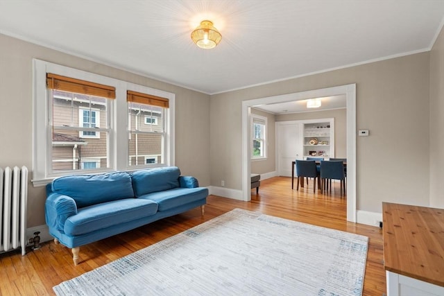 30 Gilbert Rd Unit 30, Belmont, MA 02478 - living area with radiator, light wood-style flooring, crown molding, baseboards, and built in features