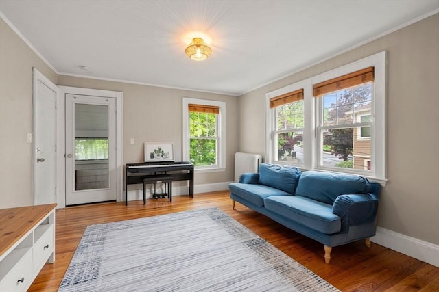 30 Gilbert Rd Unit 30, Belmont, MA 02478 - sitting room with crown molding, light wood finished floors, radiator heating unit, and baseboards