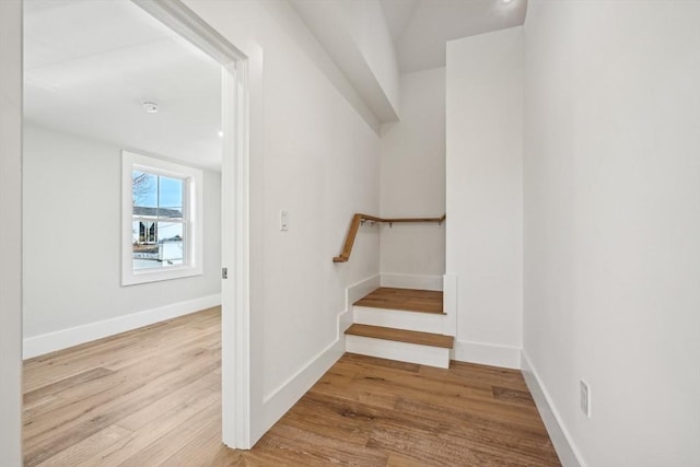 stairway with wood-type flooring