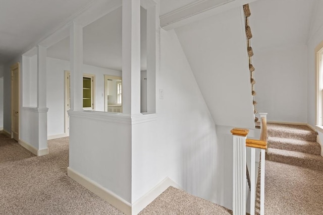 17-19 Maple St, Newton, MA 02466 - stairway featuring carpet floors and baseboards