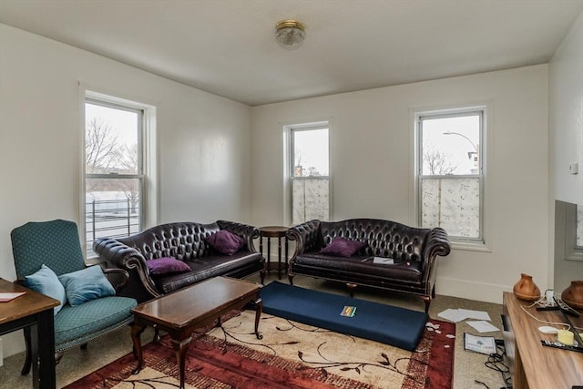 living room with carpet floors