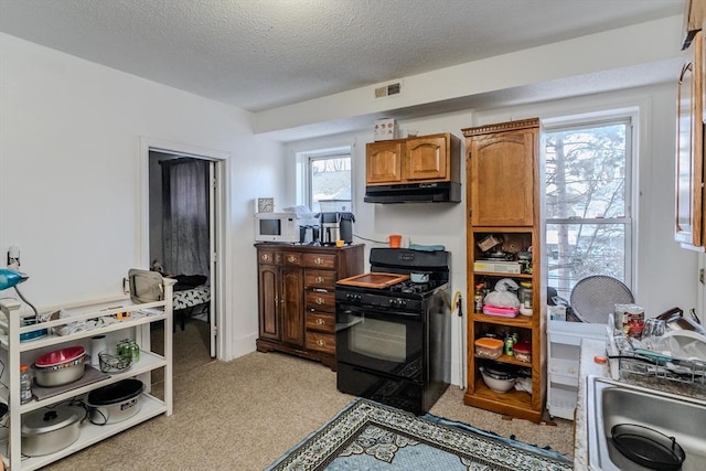 kitchen with sink, a textured ceiling, and gas stove