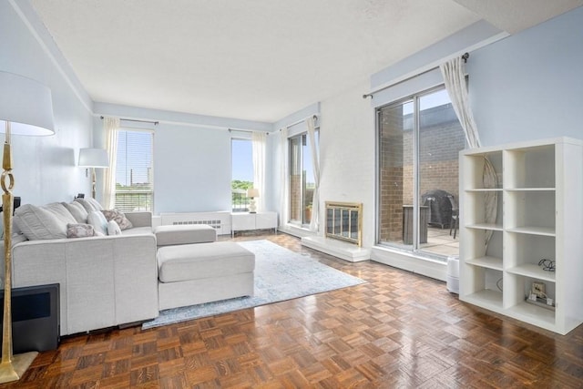living area with healthy amount of natural light