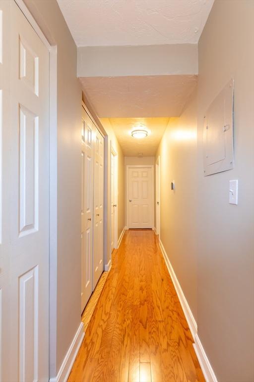 hall featuring baseboards, electric panel, and light wood-style floors