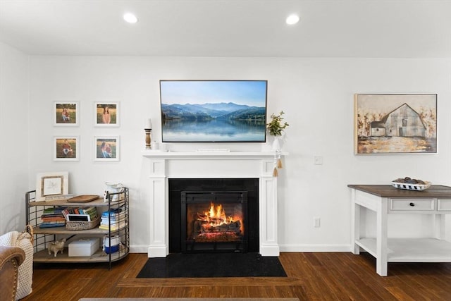 living area with baseboards, wood finished floors, a fireplace with flush hearth, and recessed lighting