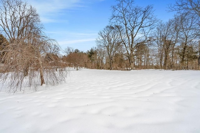 view of yard covered in snow