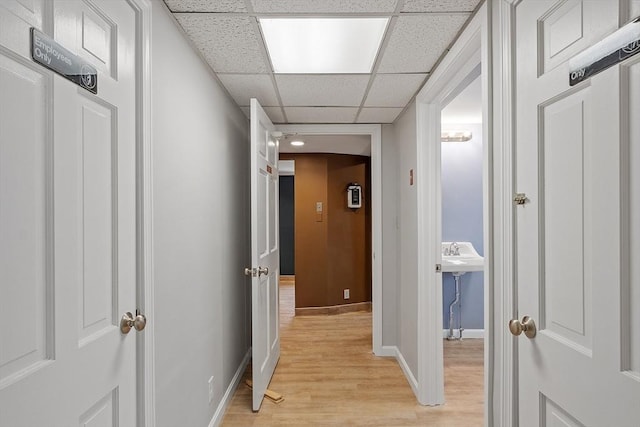 hall with baseboards, a drop ceiling, and light wood finished floors
