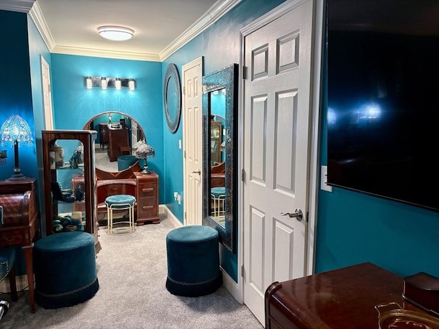 20 Meadowbrook Ln Unit 20, Palmer, MA 01069 - bedroom featuring carpet and ornamental molding