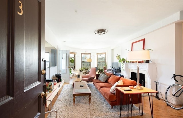 living room featuring hardwood / wood-style floors and a fireplace