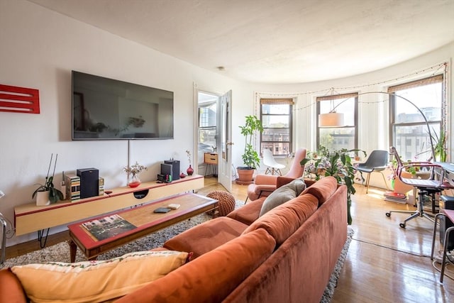 living room with wood finished floors