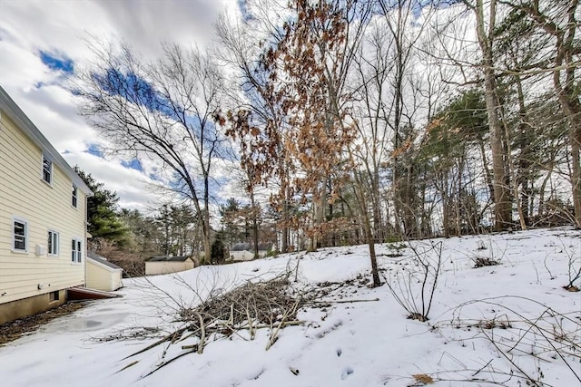 yard layered in snow with a garage