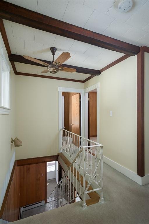 stairs with beamed ceiling, carpet, a wainscoted wall, and a baseboard radiator