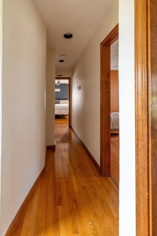 4 Fall St, Malden, MA 02148 - hallway featuring light wood-style flooring and baseboards