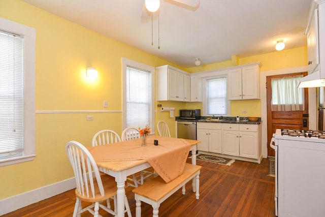 25 Maple Ave, Everett, MA 02149 - dining room with dark wood finished floors, ceiling fan, wainscoting, and baseboards