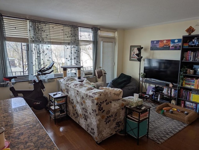 living area featuring dark wood-style flooring