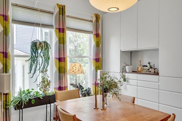 5 Mendell Way Unit 1, Boston, MA 02130 - dining space featuring healthy amount of natural light