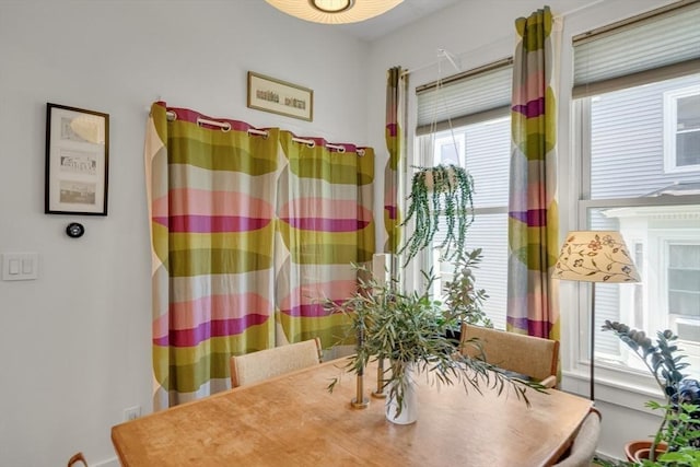 5 Mendell Way Unit 1, Boston, MA 02130 - dining room featuring healthy amount of natural light