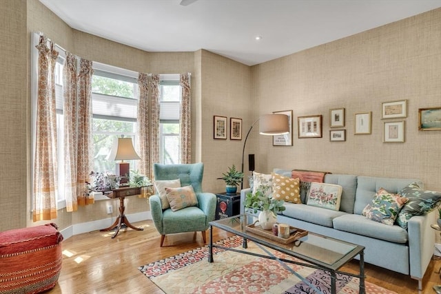 5 Mendell Way Unit 1, Boston, MA 02130 - living room with wood finished floors and baseboards