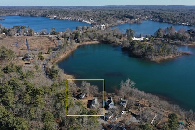 birds eye view of property with a forest view and a water view