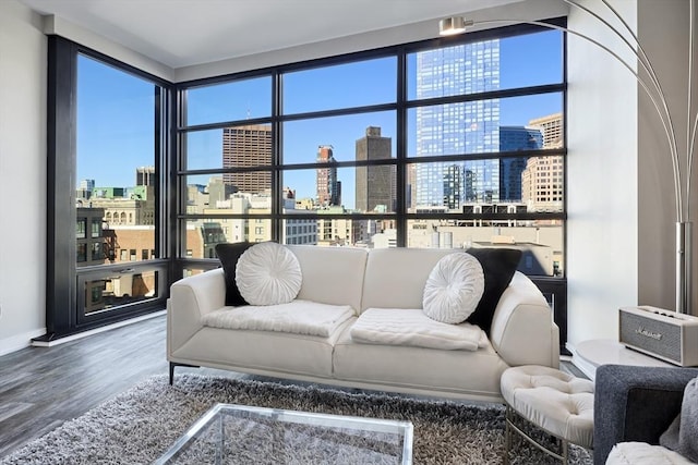 living area featuring a wealth of natural light, baseboards, a city view, and wood finished floors