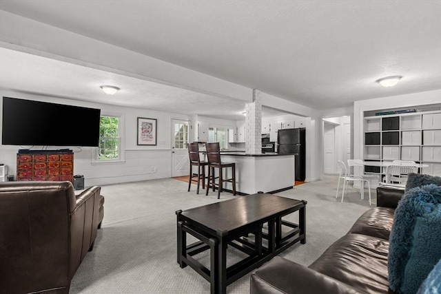 18 Arend Cir, Hanover, MA 02339 - living area with light carpet and wainscoting