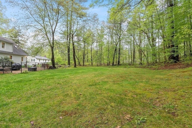 view of grassy yard