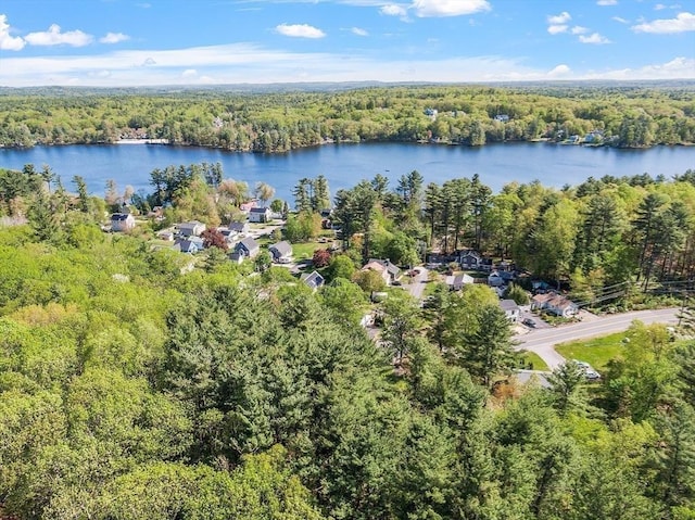 aerial view of property's location featuring a heavily wooded area and a large body of water