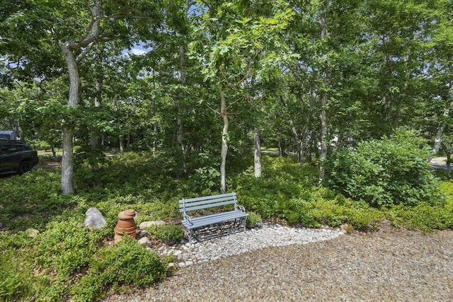 10 Eagles Nest, Edgartown, MA 02539 - view of yard