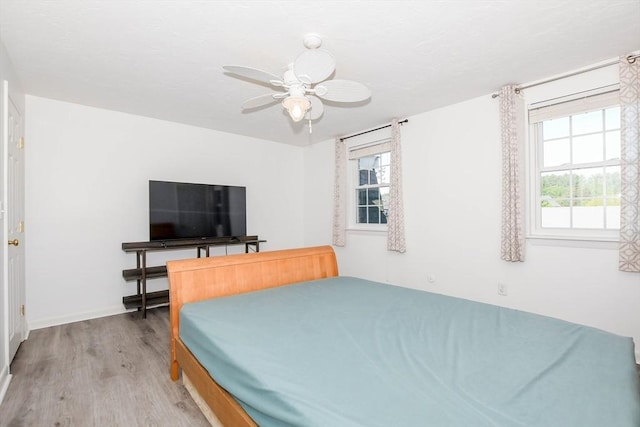 20 Patricia Dr Unit 20, Stoughton, MA 02072 - bedroom featuring light wood-type flooring and ceiling fan