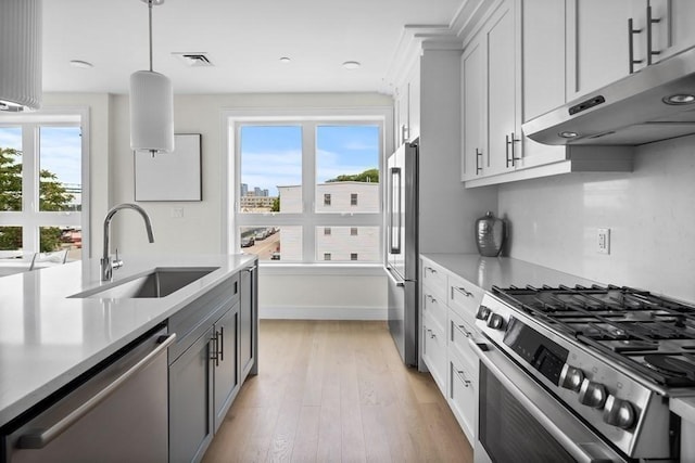 301 Border Unit 409, Boston, MA 02128 - kitchen featuring appliances with stainless steel finishes, a sink, under cabinet range hood, and plenty of natural light