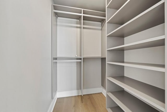 walk in closet with wood finished floors