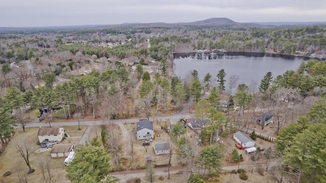 16 Poole Rd, Belchertown, MA 01007 - bird's eye view featuring a water view and a view of trees