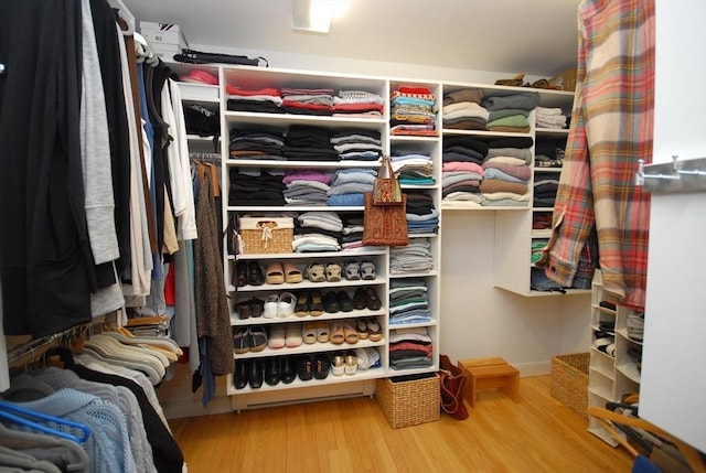 walk in closet featuring wood finished floors