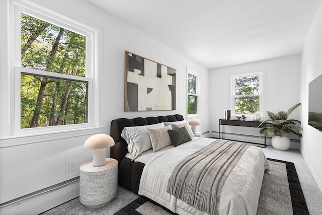 9 Margaret St, Burlington, MA 01803 - carpeted bedroom with a baseboard heating unit and a baseboard radiator