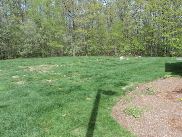 view of yard featuring a view of trees