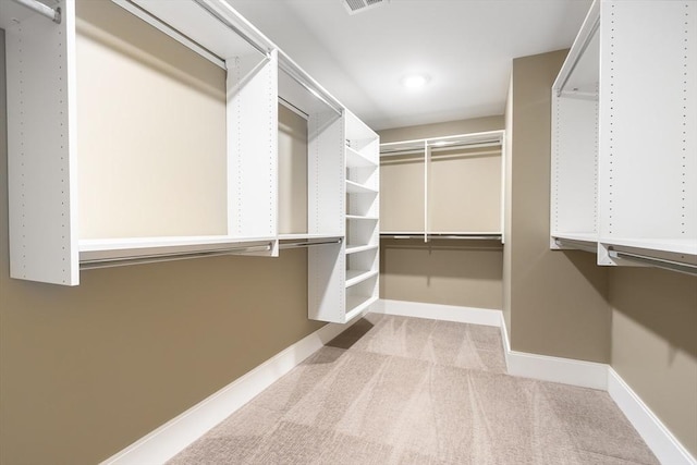 30 Southfield Ln Unit 30, Sherborn, MA 01770 - walk in closet with carpet
