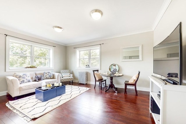 1834 Beacon St Unit 16, Brookline, MA 02445 - living area with radiator, ornamental molding, dark wood finished floors, and baseboards