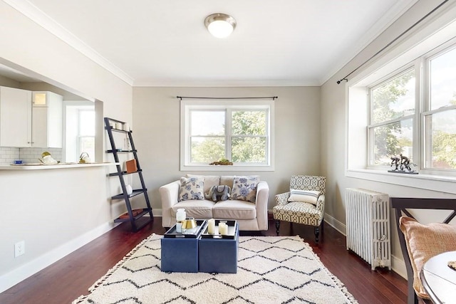 1834 Beacon St Unit 16, Brookline, MA 02445 - living area featuring radiator heating unit, dark wood-style floors, baseboards, and ornamental molding