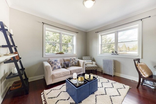 1834 Beacon St Unit 16, Brookline, MA 02445 - living area featuring radiator, wood finished floors, baseboards, and ornamental molding