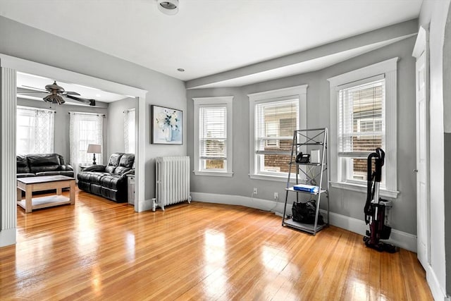 26 Enfield Rd, Winthrop, MA 02152 - living area with radiator heating unit, light wood-style flooring, and ceiling fan