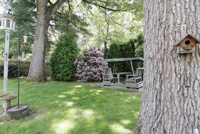 6 Jeffrey Ln, Freetown, MA 02702 - view of yard