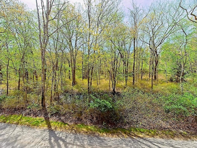 view of local wilderness featuring a view of trees